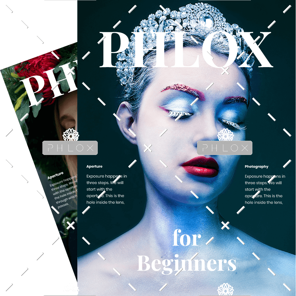 demo-attachment-600-phlox_mag